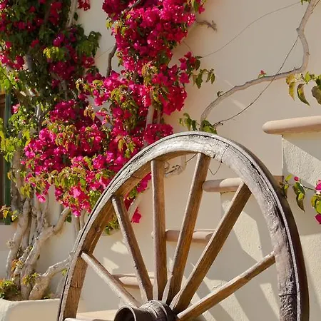 Farm stay Agroturisme S' Horta