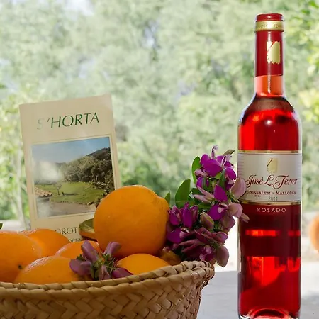 Agroturisme S' Horta Farm stay