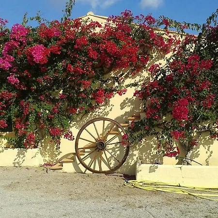 Agroturisme S' Horta Capdepera (Mallorca)